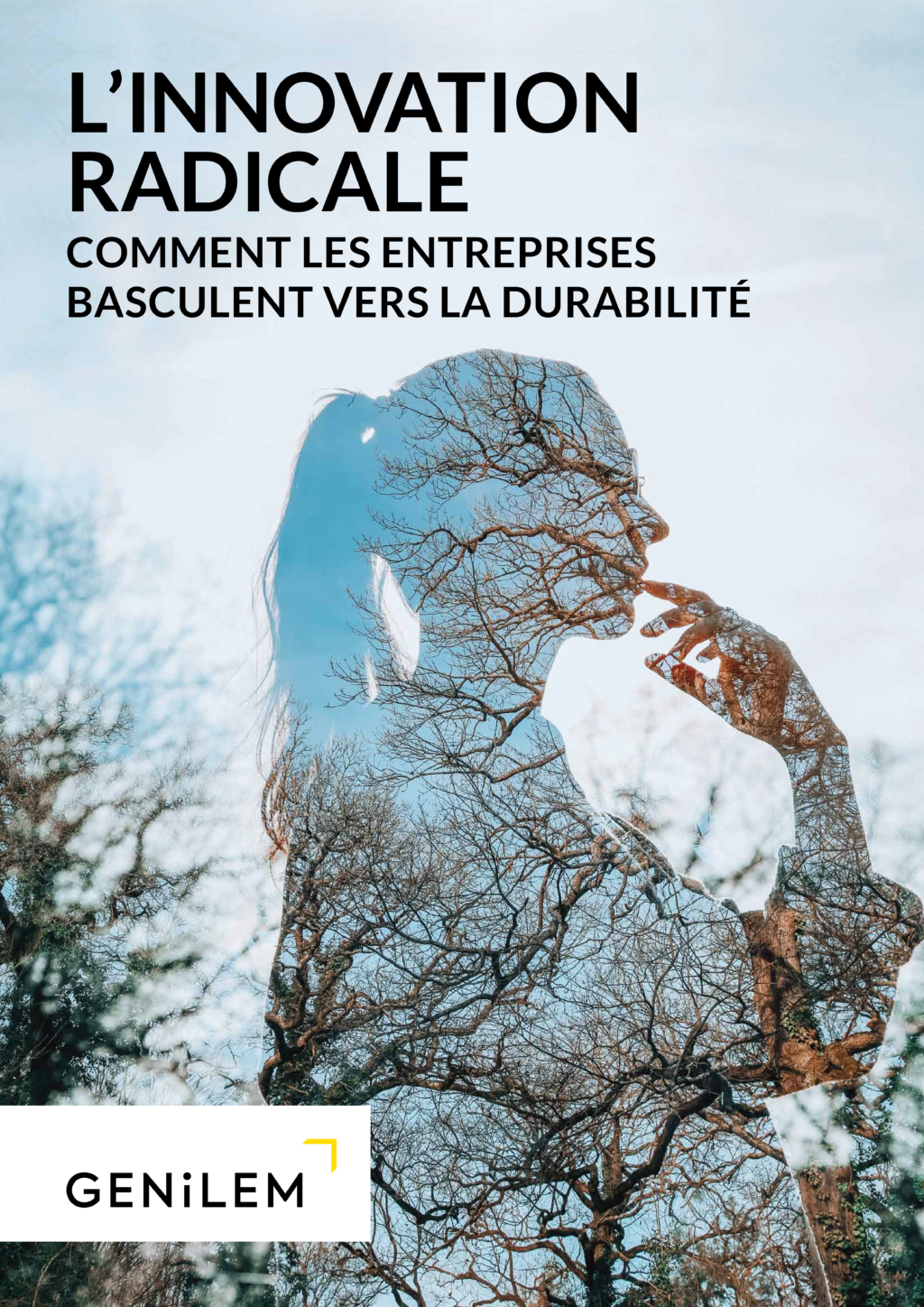 L Innovation Dans L Entrepreneuriat Explor E Par Genilem